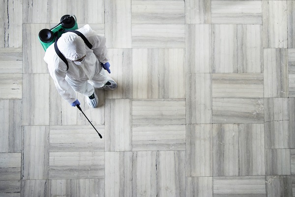 Top Reasons to Trust Hawx Pest Control with Your Home